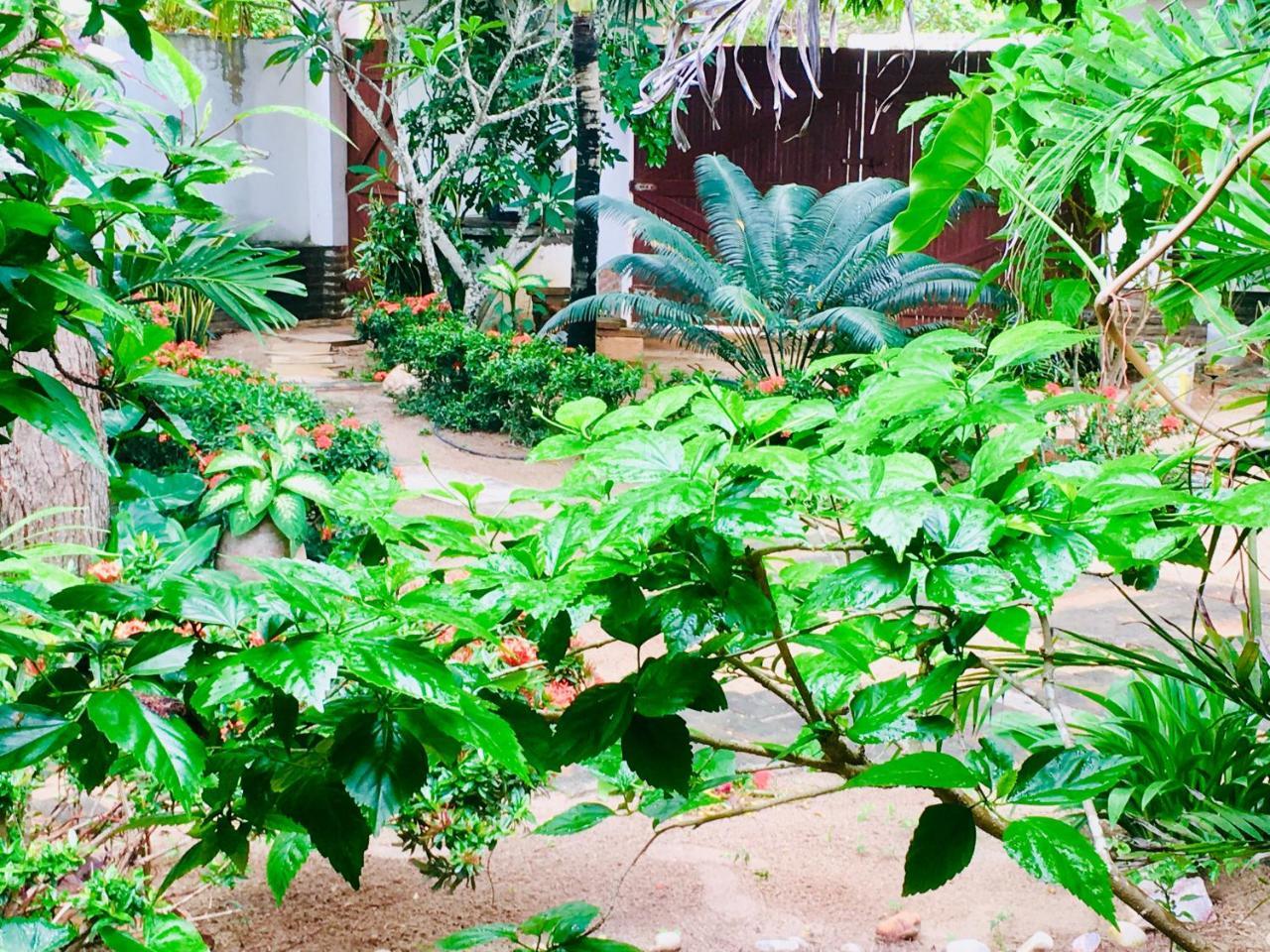 Casa Jeri Villa Jijoca de Jericoacoara Bagian luar foto