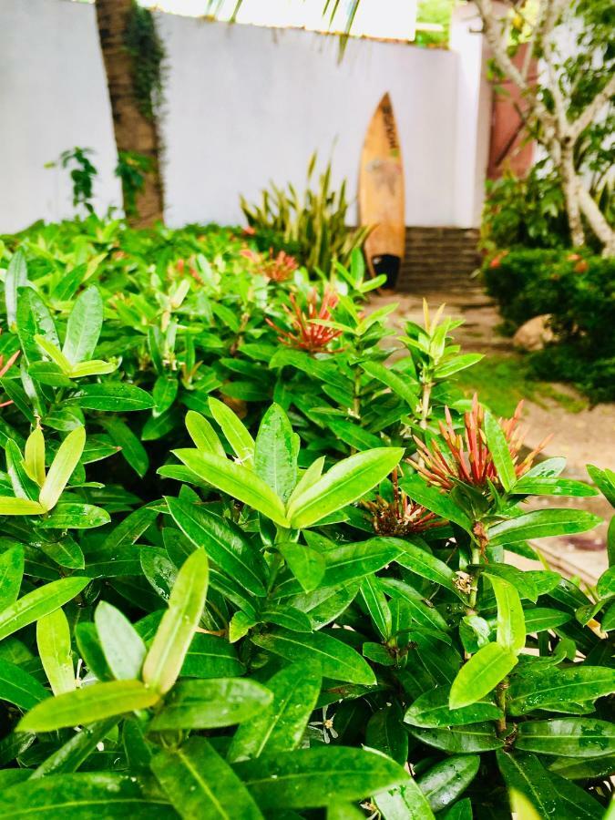 Casa Jeri Villa Jijoca de Jericoacoara Bagian luar foto